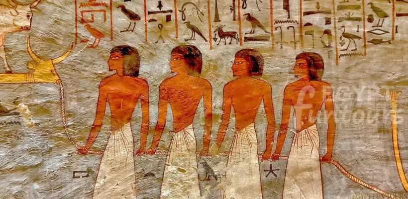 9 Days Cairo Fayoum and Nile Cruise Tour Egypt Fun Tours min 1