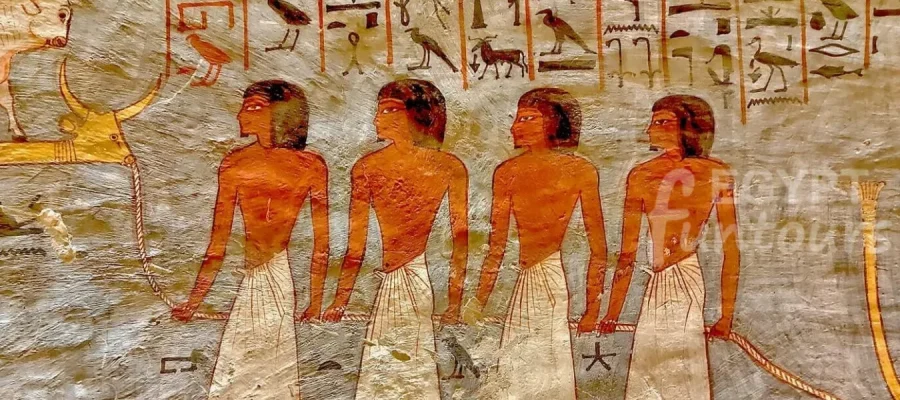 9 Days Cairo Fayoum and Nile Cruise Tour Egypt Fun Tours min 1