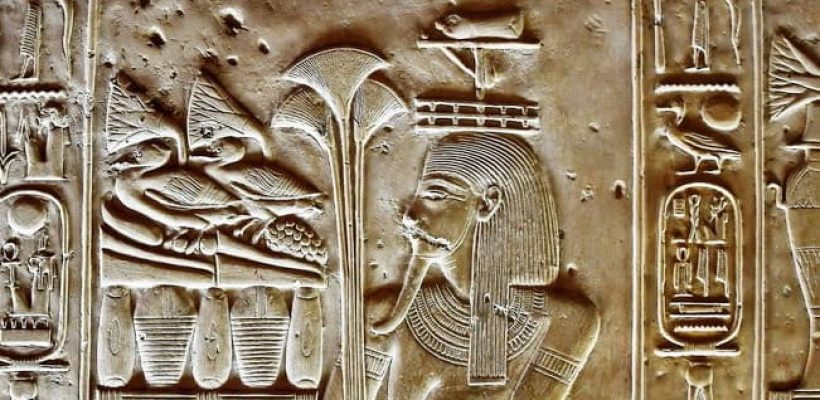 Ancient Egyptian lotus flower Papyrus in ancient Egypt Egypt Fun Tours