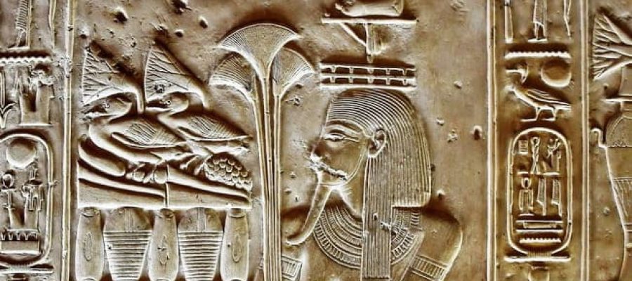 Ancient Egyptian lotus flower Papyrus in ancient Egypt Egypt Fun Tours