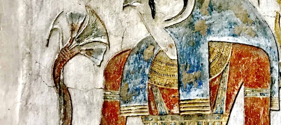 Ancient Egyptian lotus flower Papyrus in ancient Egypt - 12-Day Cairo and Upper Egypt Tour Package