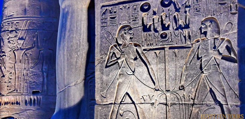 Ancient Egyptian lotus flower Papyrus in ancient EgyptTours