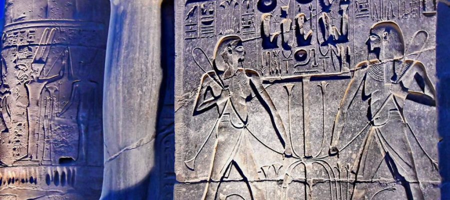 Ancient Egyptian lotus flower Papyrus in ancient EgyptTours