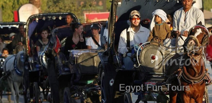 Aswan Horse Carriage Trip Egypt Fun Tours - 8 days family tour