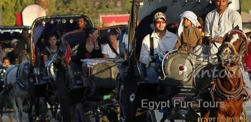 Aswan Horse Carriage Trip Egypt Fun Tours - 8 days family tour