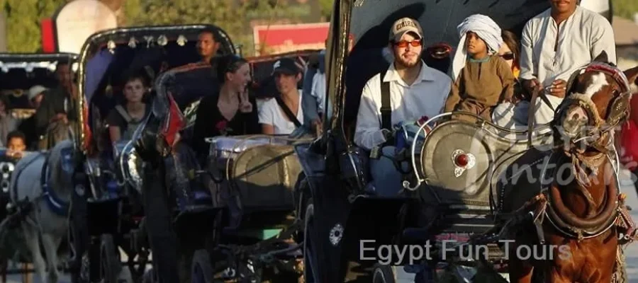 Aswan Horse Carriage Trip Egypt Fun Tours - 8 days family tour