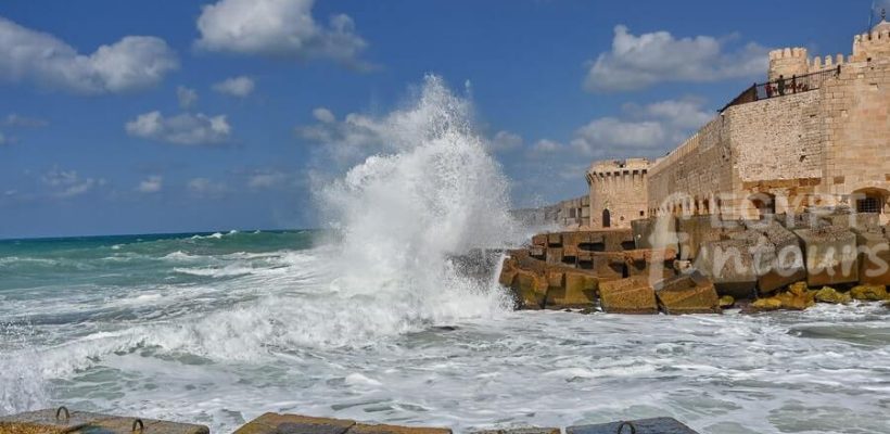 Best day trip to Alexandria from Cairo Egypt Fun Tours