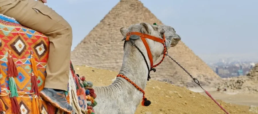 Best time to visit Egypt and Jordan - 12-Day Cairo and Upper Egypt Tour Package