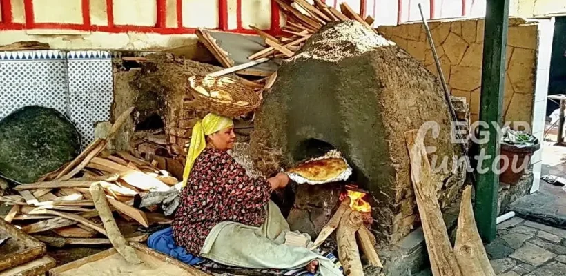 Cairo Airport Tour - Saqqara countryside