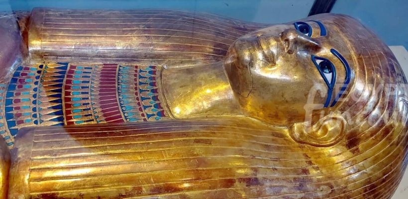 Cairo Trip from Sharm El Sheikh by Bus - 14-day family tour