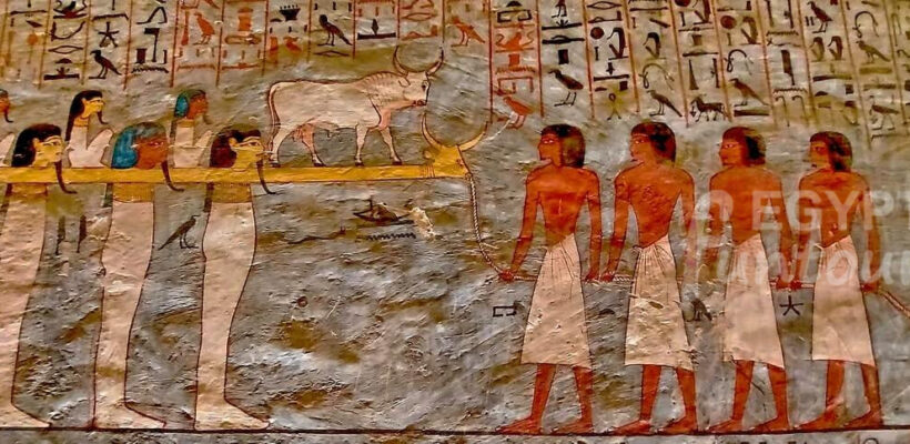 Cairo and Luxor 5 Days Christmas New Year Holiday Egypt Fun Tours