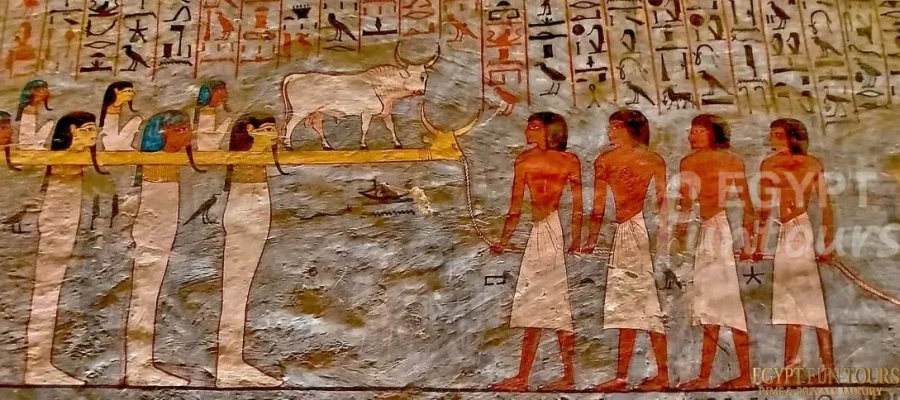 Cairo and Luxor 5 Days Christmas New Year Holiday Egypt Fun Tours