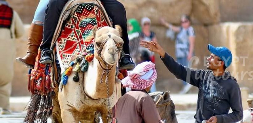 Camel ride scams best day trip to pyramids sphinx egypt fun tours