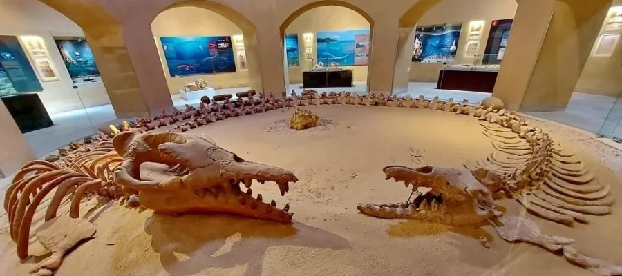 Climate Change Museum - Wadi El Hitan - Fayoum Oasis