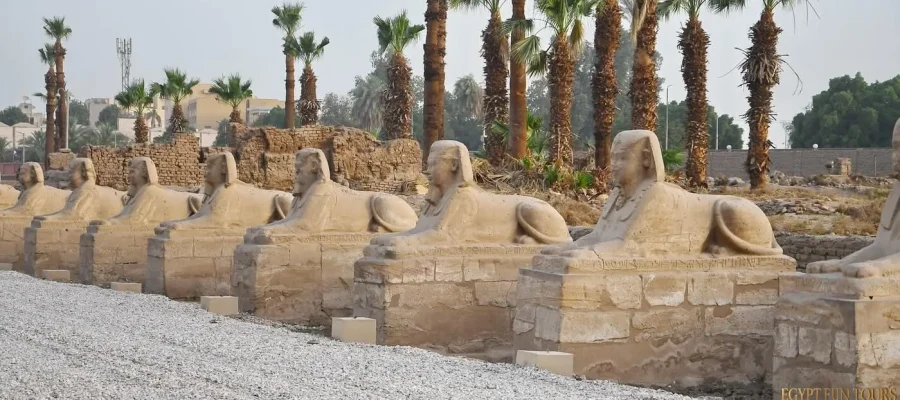 Golden Nubia and the Majestic Nile 14 days Egypt Tour