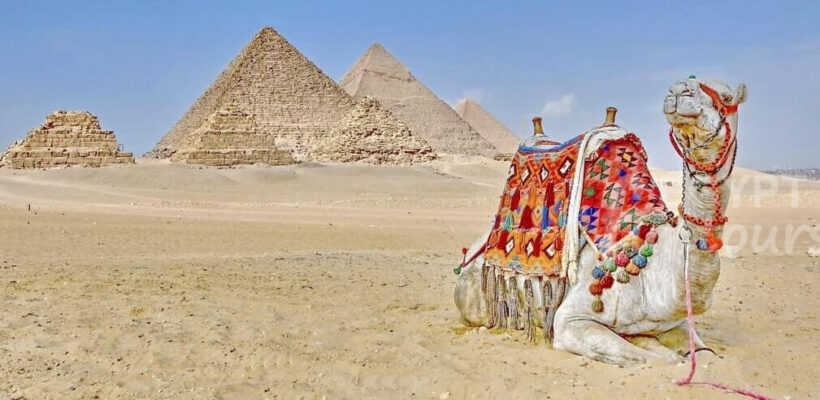 aswan to cairo day trip