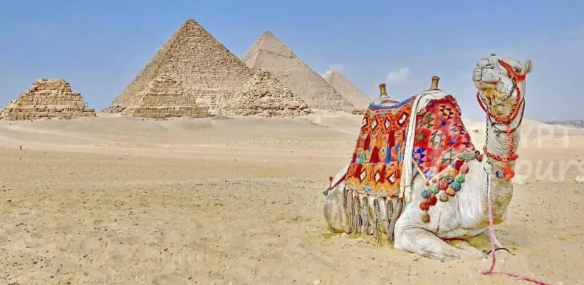 aswan to cairo day trip