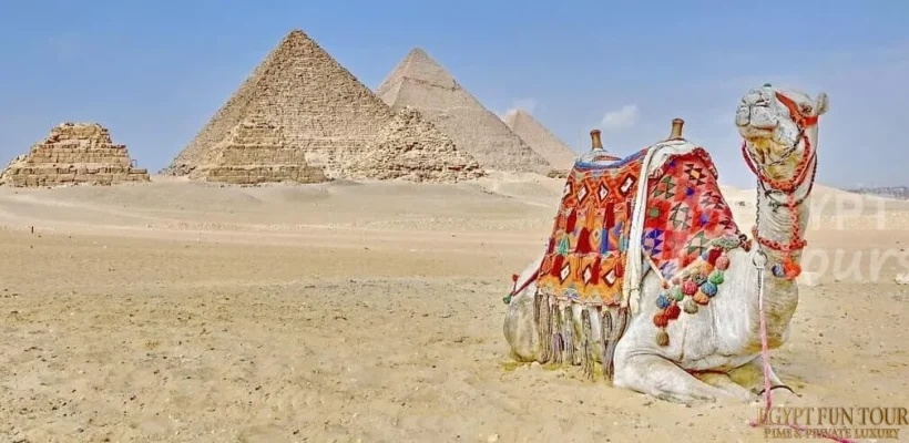 aswan to cairo day trip