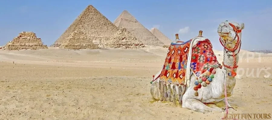 aswan to cairo day trip