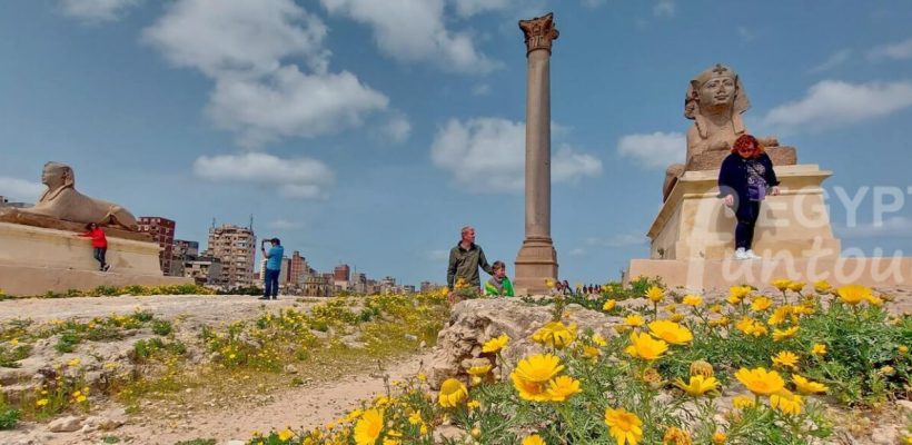 Day Trip to Alexandria from Cairo by Car Egypt Fun Tours min 1