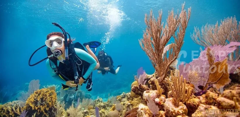 Diving in El Gouna