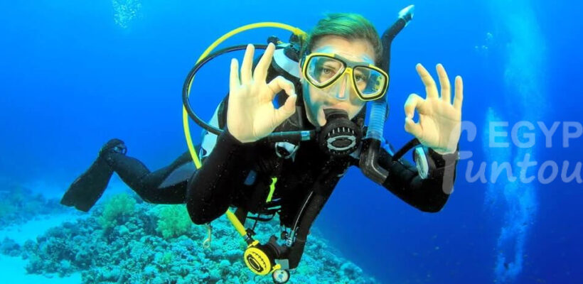 Diving Excursion in Port Ghalib Egypt Fun Tours - port ghalib diving excursion