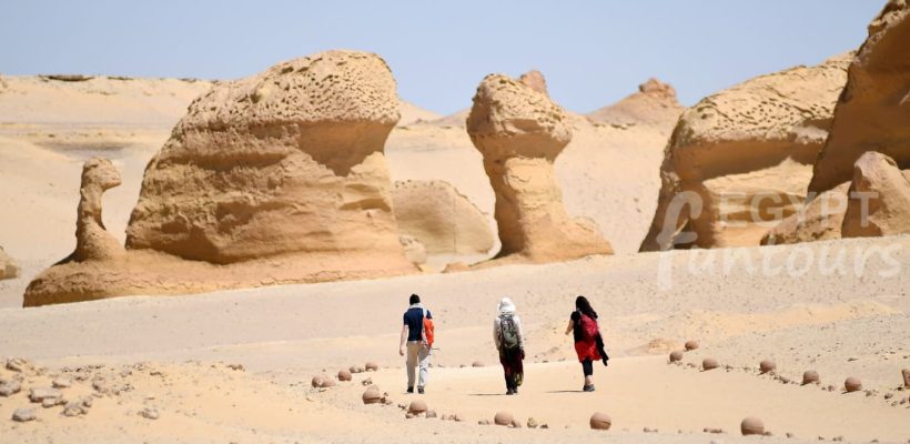 Egypt YOLO Tours - Wadi El Hitan Adventures