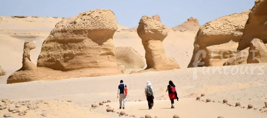 Egypt YOLO Tours - Wadi El Hitan Adventures
