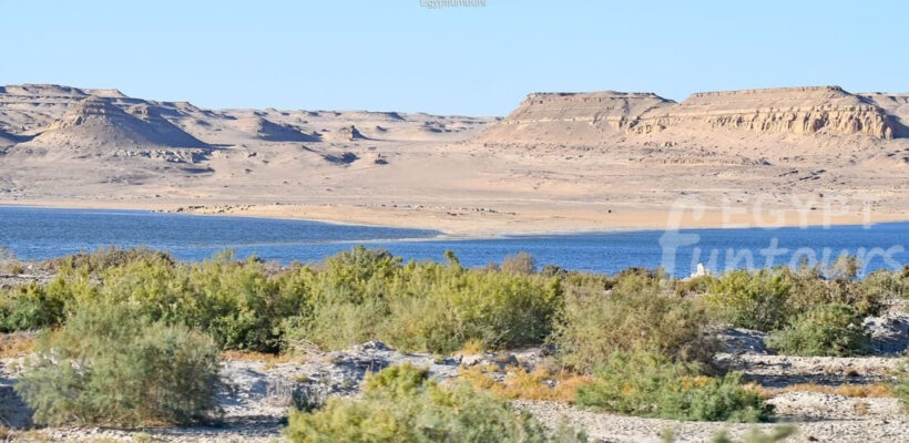 Wadi El Hitan Trip from Cairo - 3-day desert adventure