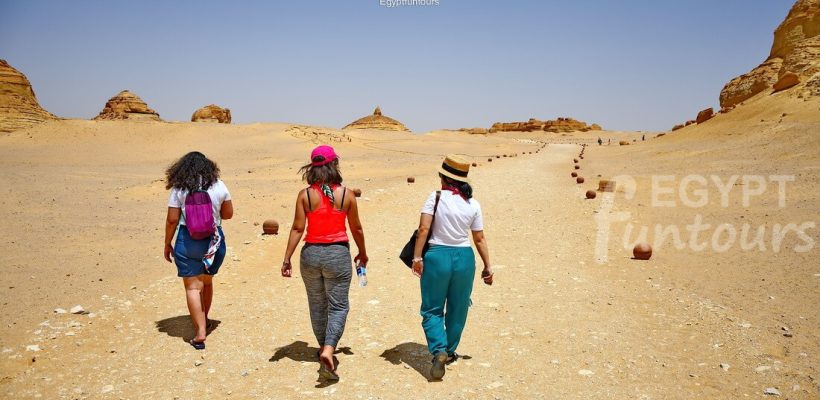 El fayoum wadi Hitan 3