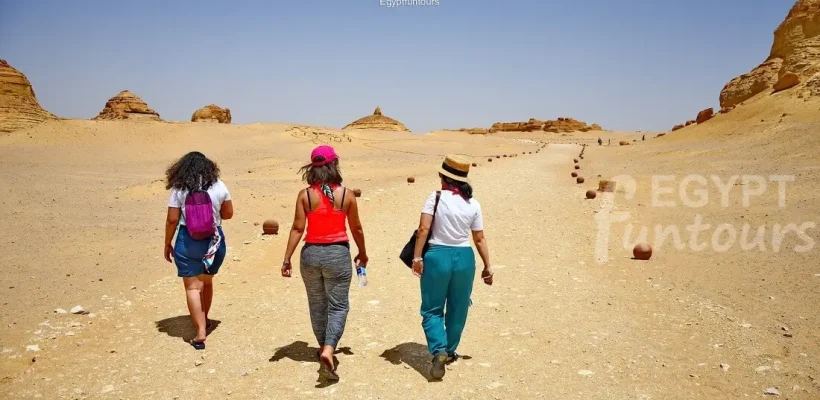 El fayoum wadi Hitan 3