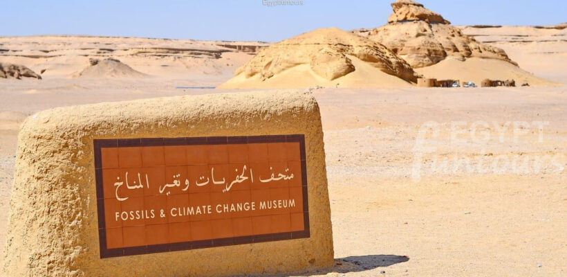 El fayoum wadi Hitan - 9 days unesco tour