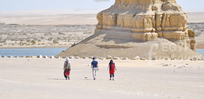 Wadi El Hitan Trip from Cairo - 4-day desert adventure