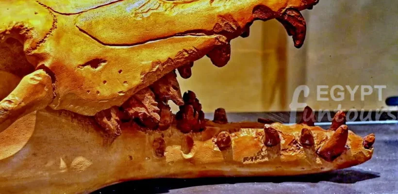 Fayoum Oasis Expedition; A Private 4x4 Journey to Wadi El Hitan and Magic Lake - Fossils of Whales