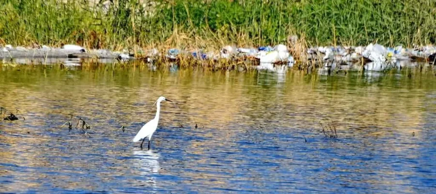 Fayoum Oasis Expedition; A Private 4x4 Journey to Wadi El Hitan and Magic Lake - Lake Qarun