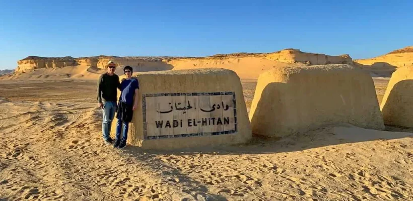 Fayoum Oasis Expedition; A Private 4x4 Journey to Wadi El Hitan and Magic Lake - Wadi El Hitan Desert