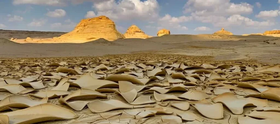 Fayoum Oasis Expedition; A Private 4x4 Journey to Wadi El Hitan and Magic Lake - Wadi El Hitan Nature