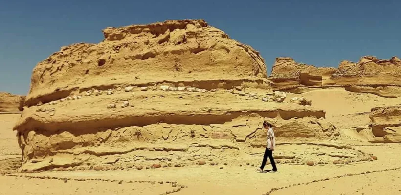 Fayoum Oasis Expedition; A Private 4x4 Journey to Wadi El Hitan and Magic Lake - Wadi El Hitan Open Museum