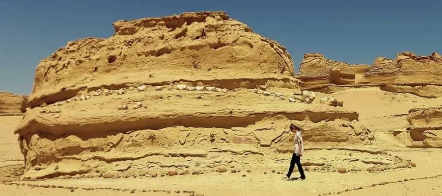 Fayoum Oasis Expedition; A Private 4x4 Journey to Wadi El Hitan and Magic Lake - Wadi El Hitan Open Museum