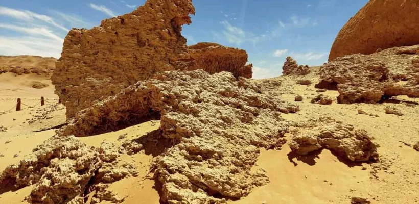 Fayoum Oasis Expedition; A Private 4x4 Journey to Wadi El Hitan and Magic Lake - Wadi El Hitan