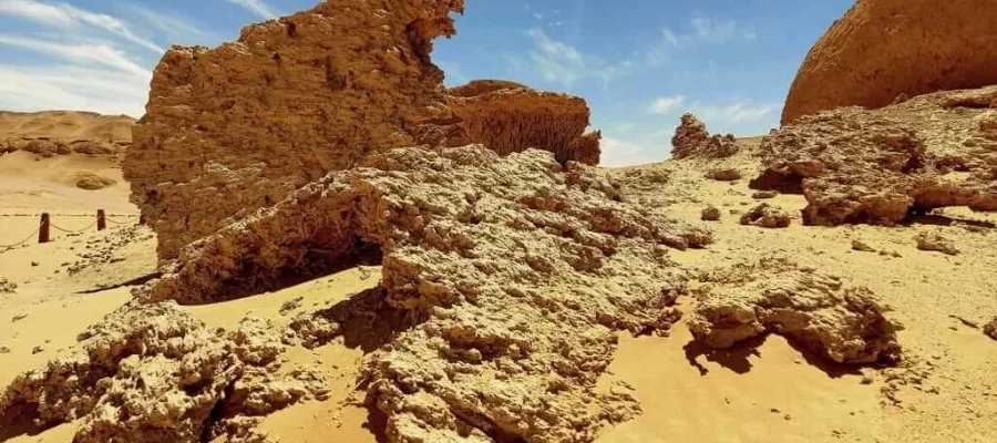 Fayoum Oasis Expedition; A Private 4x4 Journey to Wadi El Hitan and Magic Lake - Wadi El Hitan