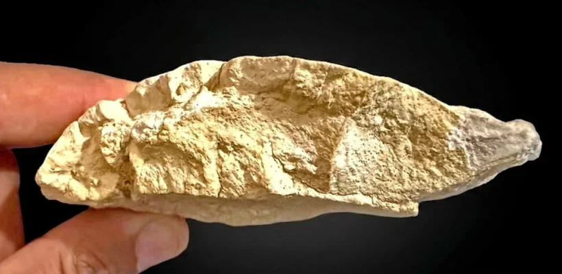 Fragment of the Dahshur Plateau (1)