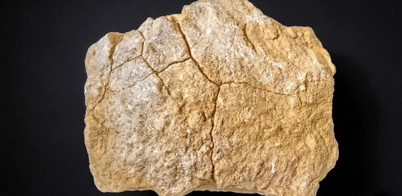 Fragment of the Dahshur Plateau (2)