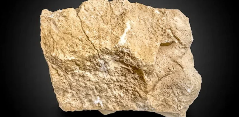 Fragment of the Dahshur Plateau (2)