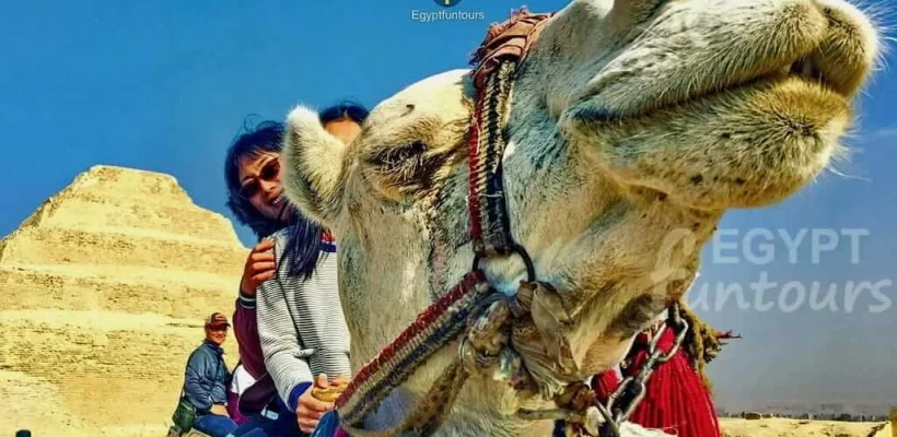Full-Day Cairo Expedition; Saqqara pyramids camel ride