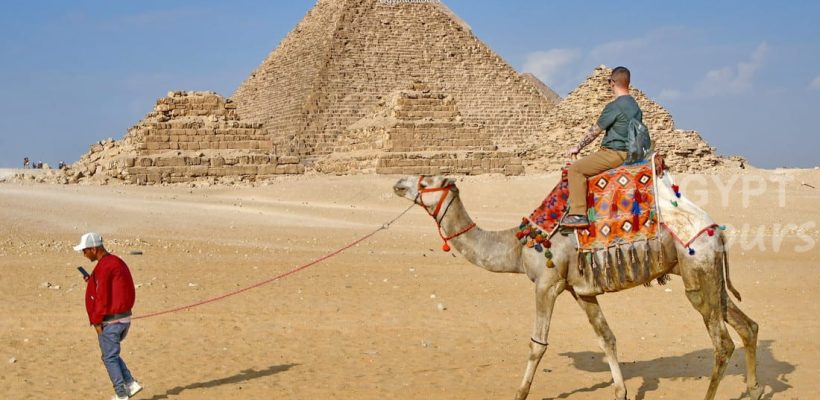 Giza pyramids camel 4