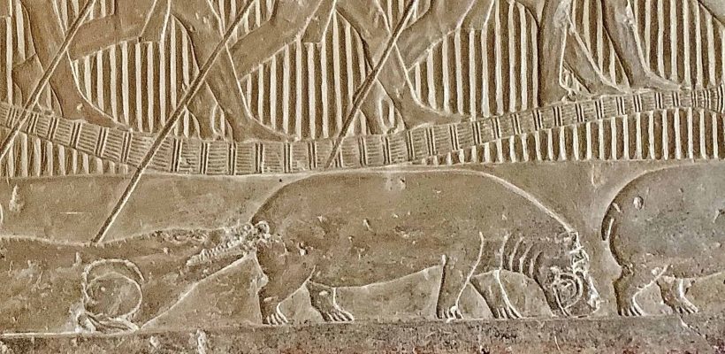 Hippos in ancient Egypt 2