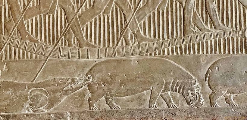 Hippos in ancient Egypt 2