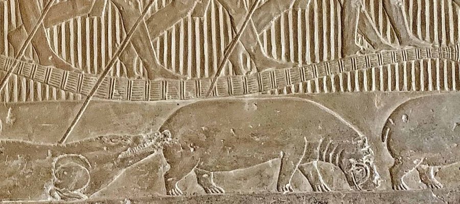 Hippos in ancient Egypt 2