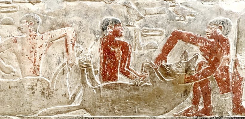 Hyenas in ancient Egypt - Egypt Travel Package